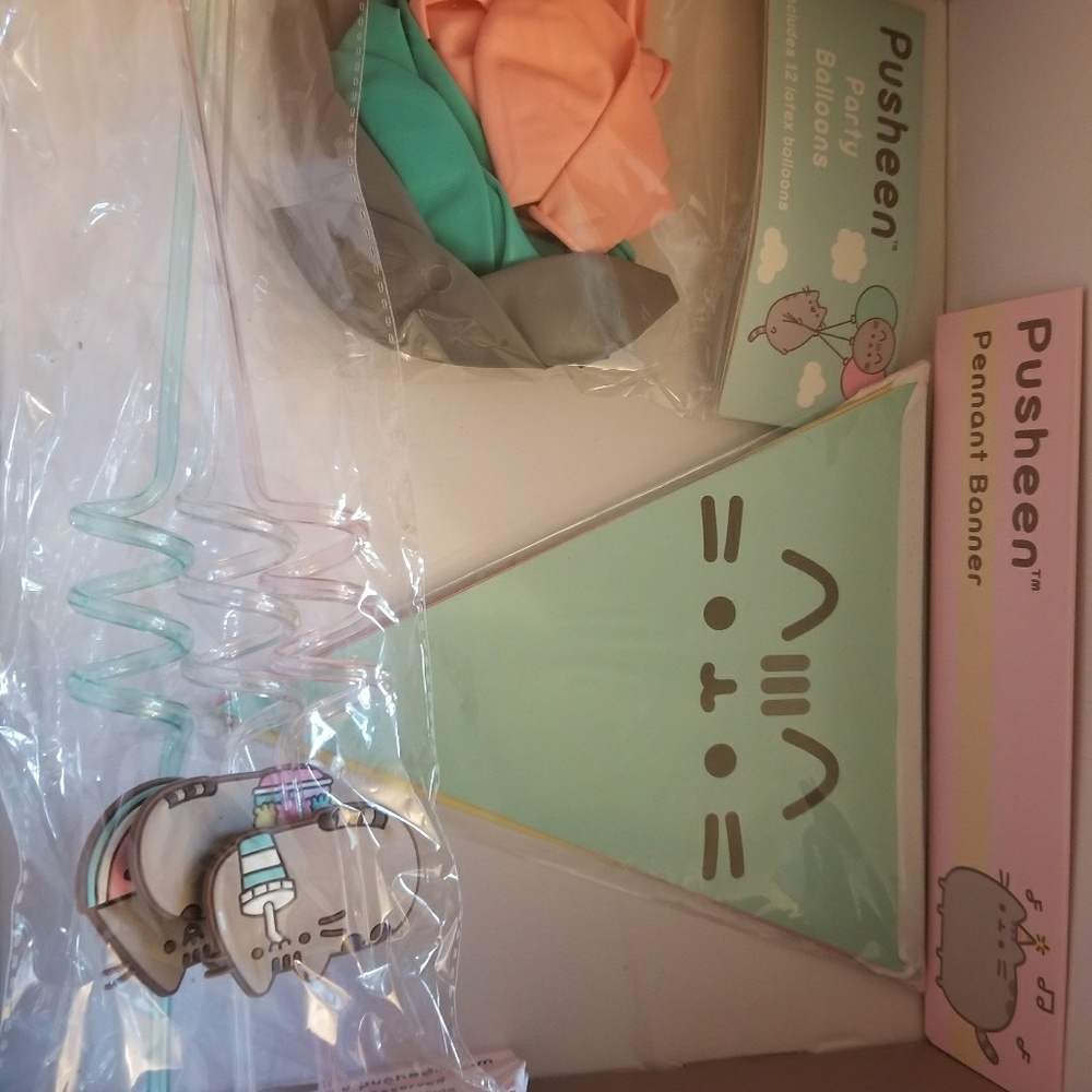 Pusheen box excl: Pendant banner, balloons,straws